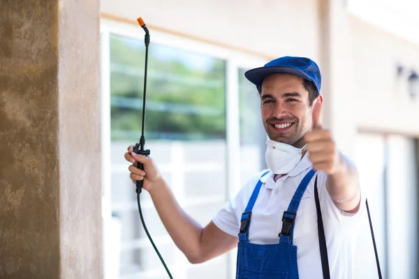 Tustin Wasp Removal