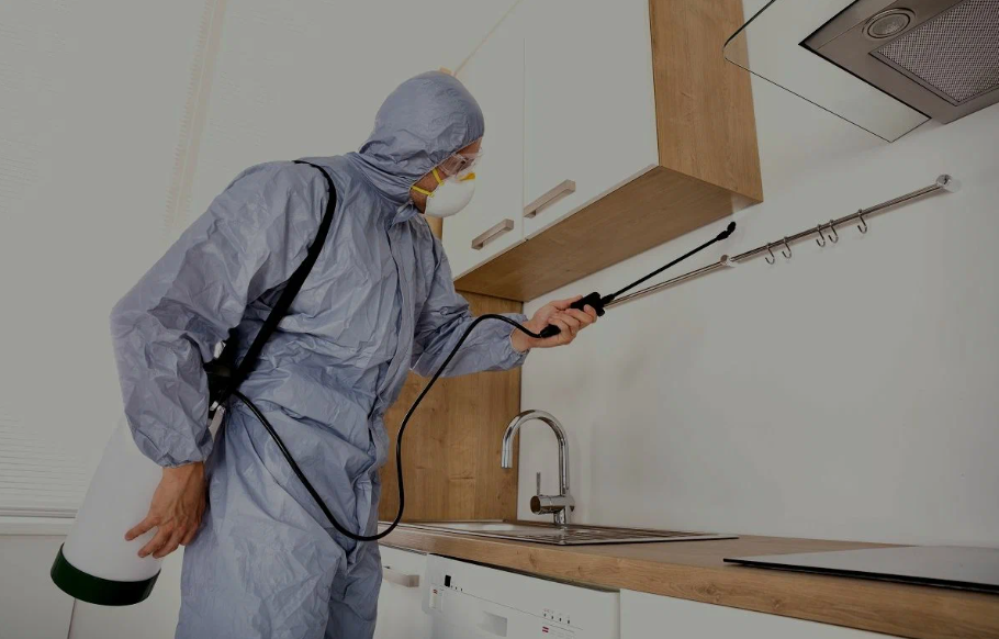 Tustin pest managment